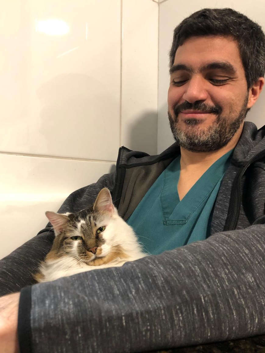 Adoptado 5